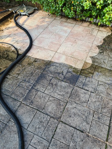 Schwarzalgen von Terrasse entfernen