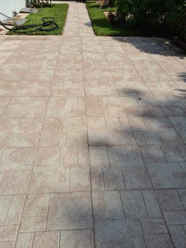 Schwarzalgen von Terrasse entfernen Inprägniert