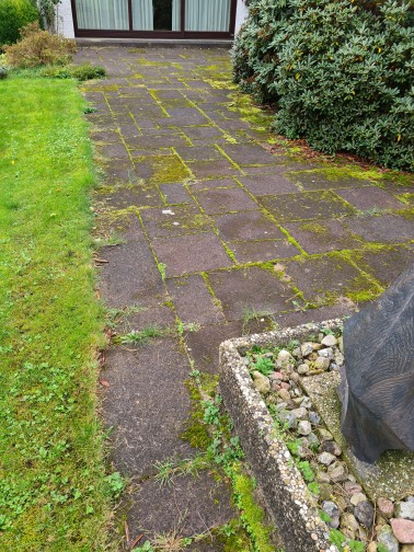 Gehwegplatten reinigen nach 30 Jahren